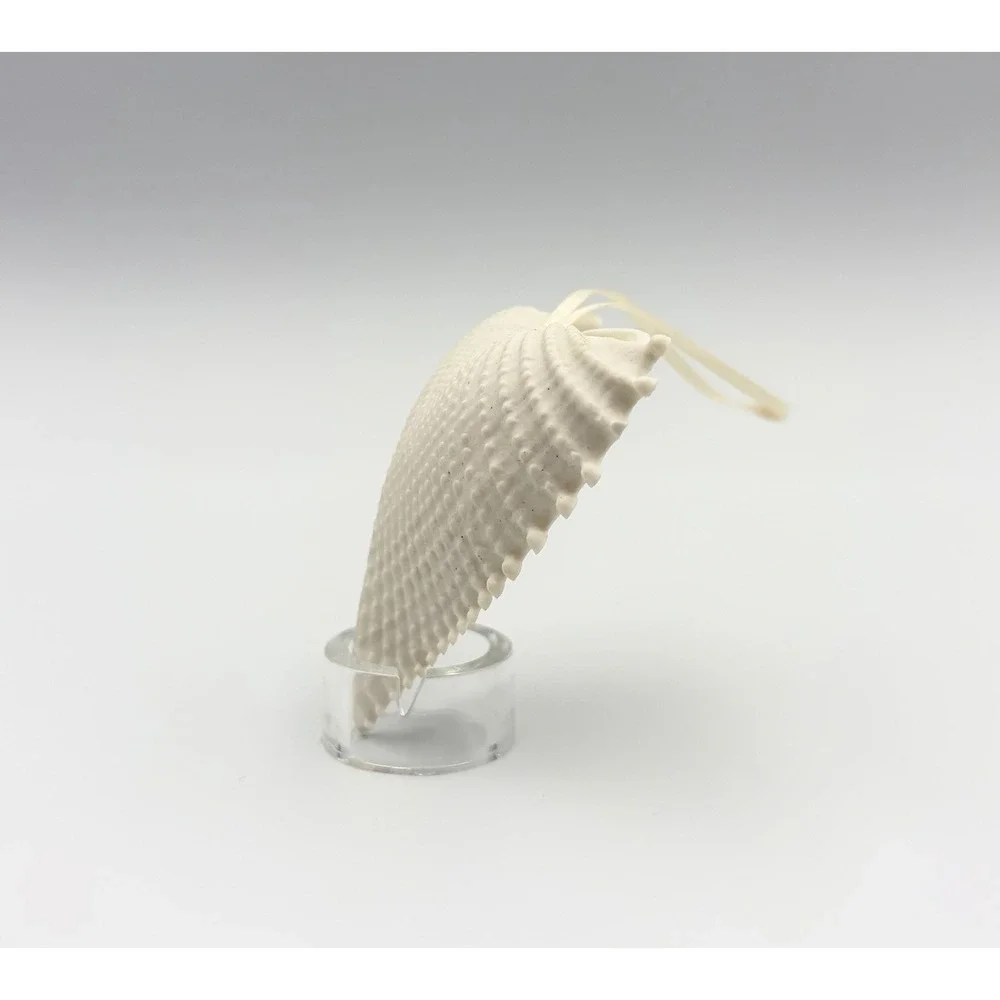 Margaret Furlong Bisque Porcelain Heart Seashell Ornament Wings Of Love 2.5